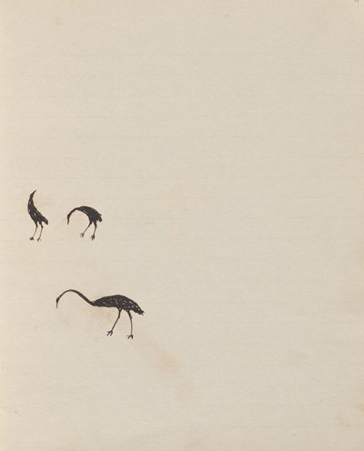 Kwatkwat Volk - (Vögel) Skizzenbuch hauptsächlich über Aktivitäten von Aborigines und Weißen von Tommy McRae